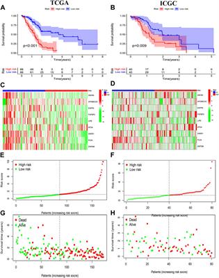 Analysis of M2 macrophage-associated risk score signature in pancreatic cancer TME landscape and immunotherapy